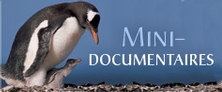 Mini-documentaires