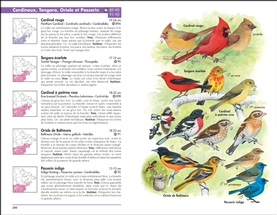 Guide d'identification des oiseaux du Québec et des Maritimes