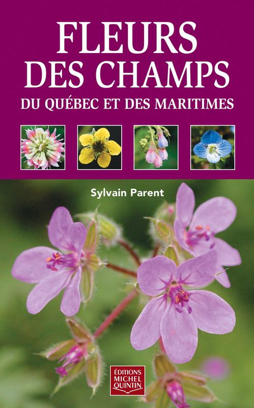 Fleurs des champs du Québec et des Maritimes (cart.)