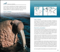 Découvrir les baleines et autres mammifères marins du Québec et de l'est du Canada