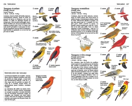 Le guide Sibley des oiseaux de l'est de l'Amérique du Nord