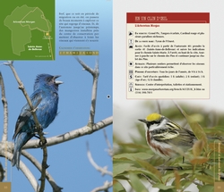 Où observer les oiseaux au Québec