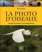 La photo d'oiseaux