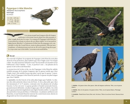 Oiseaux de proie du Québec et de l'est du Canada (souple)
