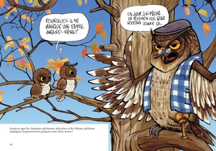 Les Hiboux - En couleurs
