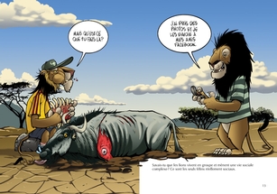 Les Lions - En couleurs