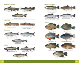 Poissons d'eau douce du Québec et des Maritimes (cart.)