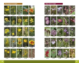 Plantes des milieux humides et de bord de mer du Québec et des Maritimes (souple)