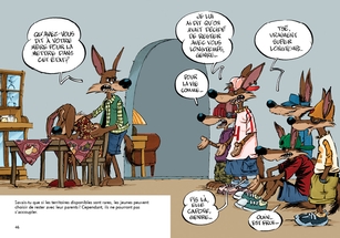 Les Coyotes - En couleurs