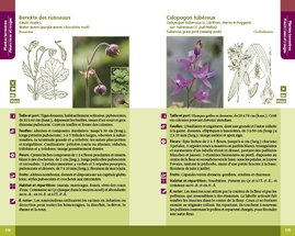 Plantes des milieux humides et de bord de mer du Québec et des Maritimes (cart.)