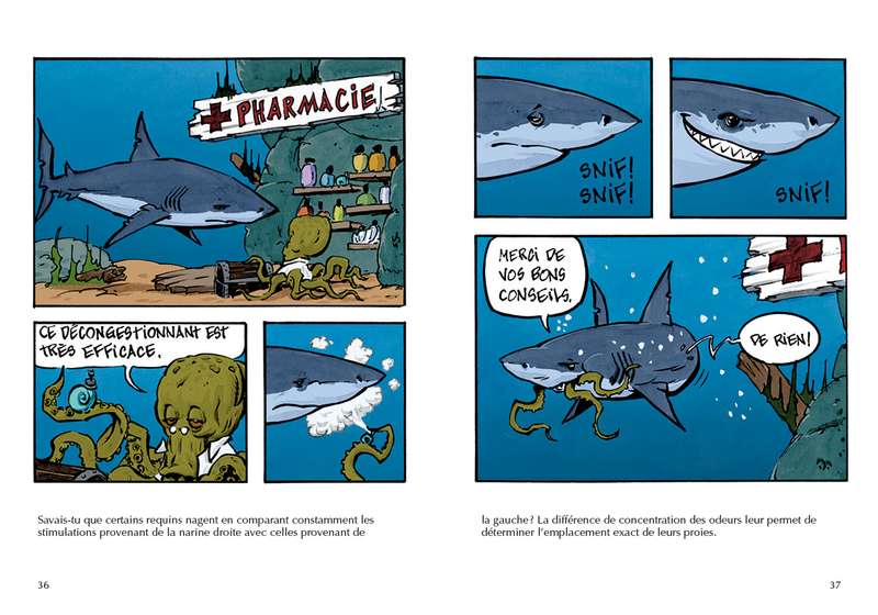 les requins